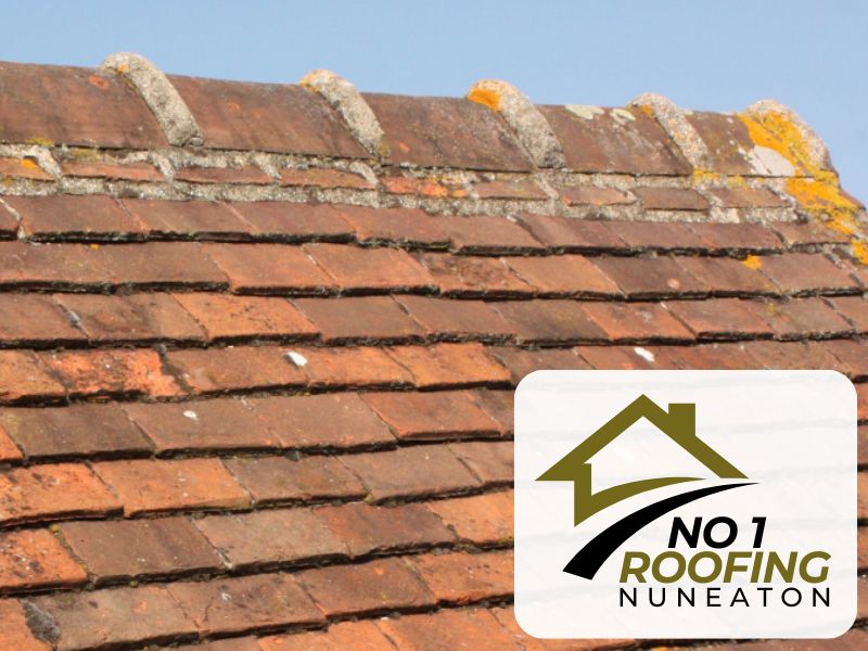 CV1 Warwickshire slate roofing Nuneaton